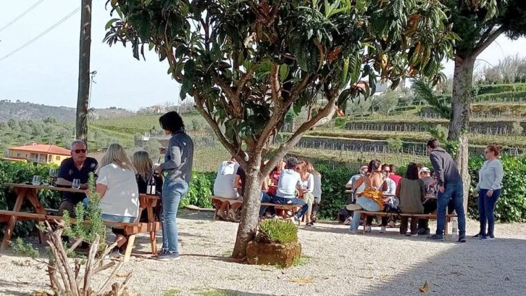 porto-douro-valley-vineyards-tour-with-lunch-river-cruise