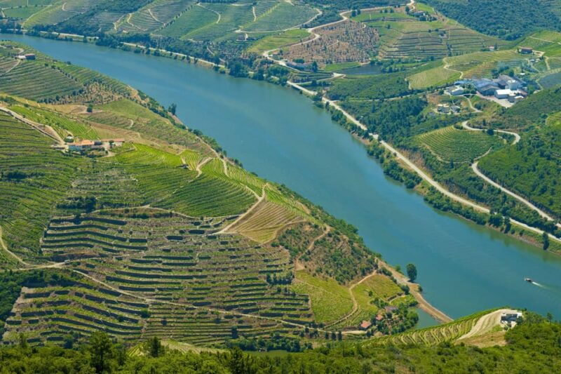 porto-douro-valley-wine-history-tour-with-cruise-lunch