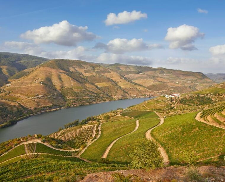 porto-douro-valley-wine-history-tour-with-cruise-lunch