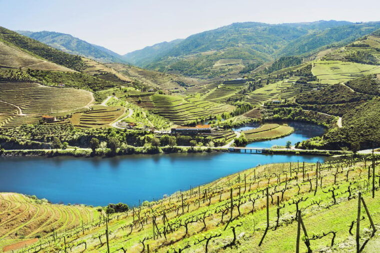 porto-douro-valley-wine-history-tour-with-cruise-lunch
