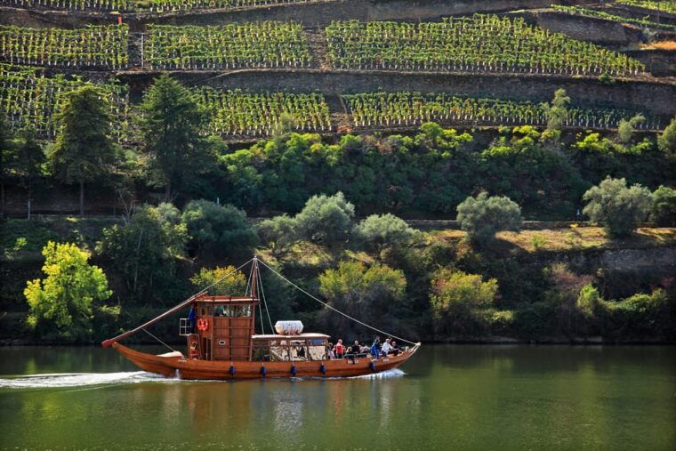 porto-douro-valley-wine-history-tour-with-cruise-lunch