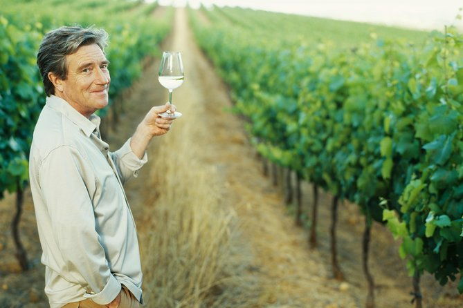 porto-douro-valley-wine-tour-including-lunch