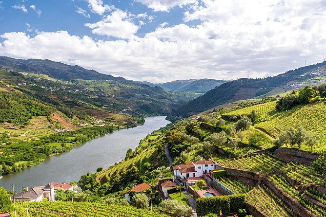 porto-douro-valley-wine-tour-including-lunch