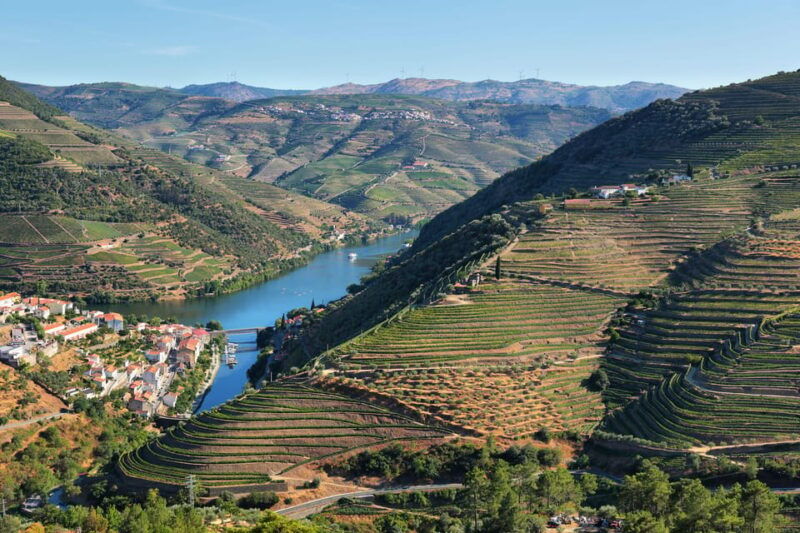 porto-douro-valley-wine-tour-with-a-sommelier-boat-trip