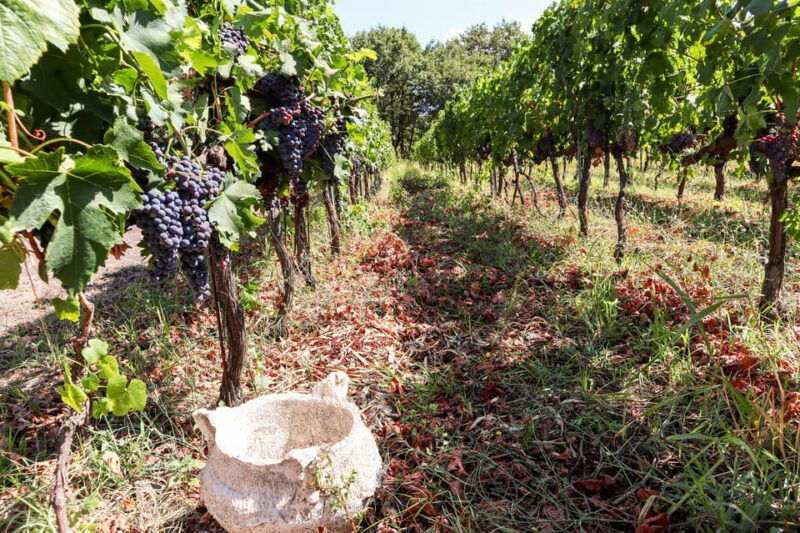 porto-douro-valley-wine-tour-with-a-sommelier-boat-trip