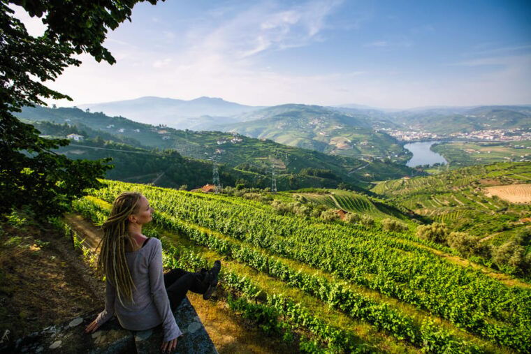 porto-douro-valley-wine-tour-with-a-sommelier-boat-trip