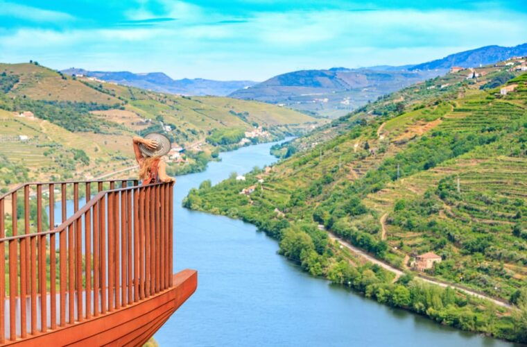 porto-douro-valley-wine-tour-with-a-sommelier-boat-trip