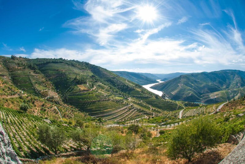 porto-douro-valley-wine-tour-with-lunch-tastings-cruise