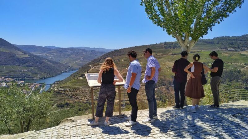 porto-douro-valley-wine-tour-with-tastings-boat-and-lunch