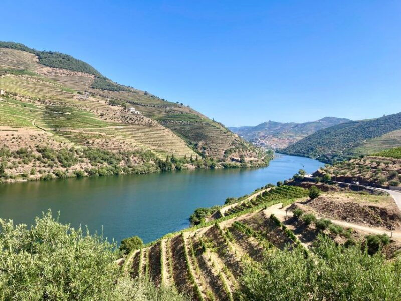 porto-douro-valley-wine-tour-with-tastings-boat-and-lunch
