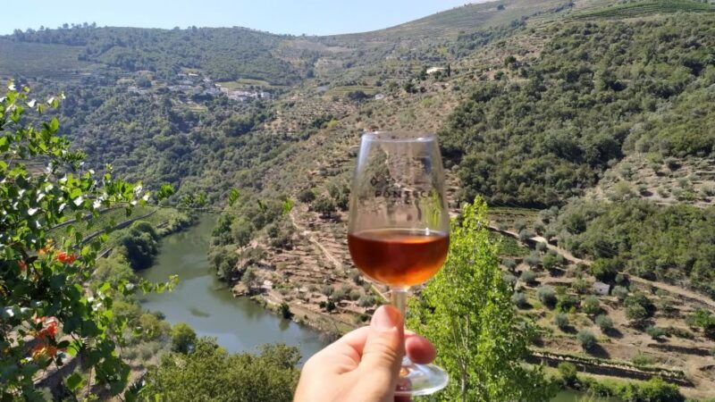 porto-douro-valley-wine-tour-with-tastings-boat-and-lunch