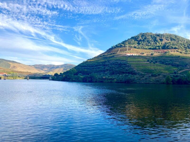 porto-douro-valley-wine-tour-with-tastings-boat-and-lunch