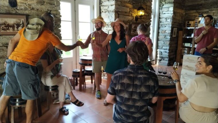 porto-douro-valley-wine-tour-with-tastings-boat-and-lunch