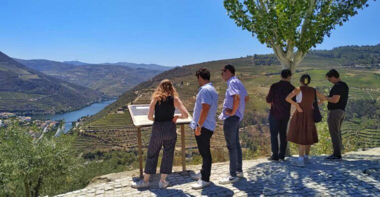 porto-douro-valley-wine-tour-with-tastings-boat-and-lunch