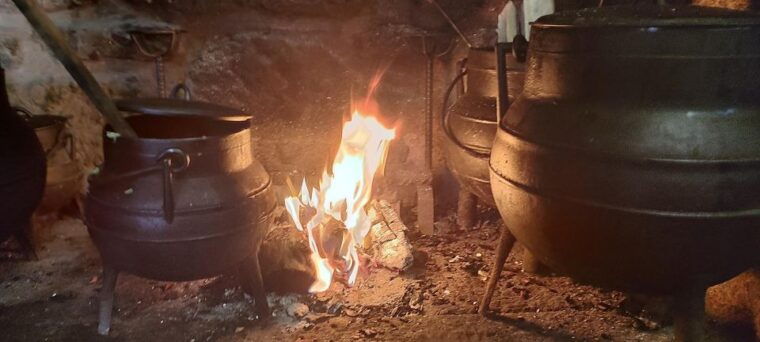 porto-douro-valley-wine-tour-with-tastings-boat-and-lunch