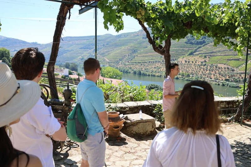 Porto: Douro Valley with Small Wineries, Lunch and Boat Tour - Final Thoughts