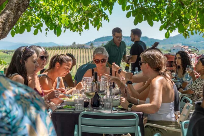 Porto: Douro Valley with Winery Lunch, Tastings & Cruise - Who Is This Tour Best For?