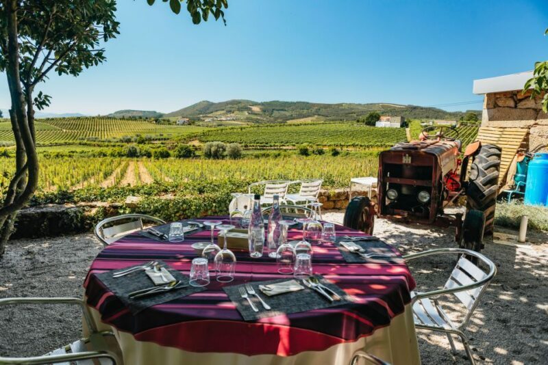Porto: Douro Valley with Winery Lunch, Tastings & Cruise - Frequently Asked Questions