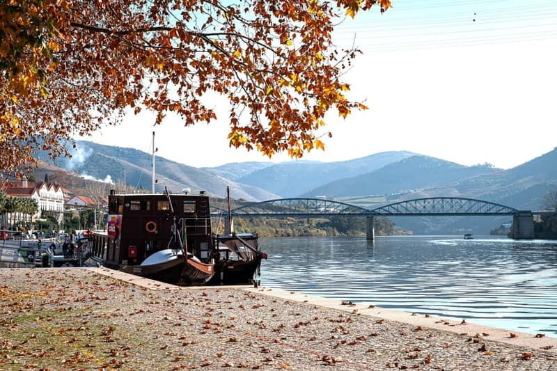 Porto: Douro Wine Tour with Lunch and River Cruise - Key Points