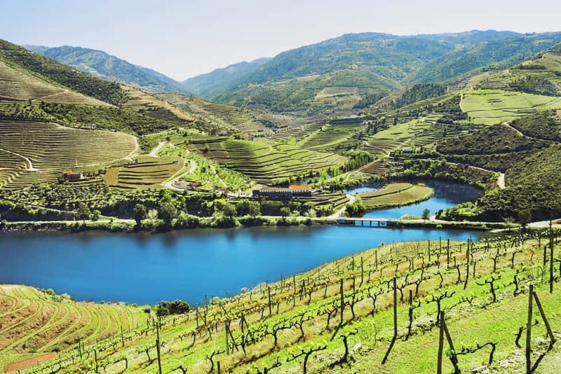 Porto: Douro Wine Tour with Lunch and River Cruise - Possible Drawbacks or Considerations