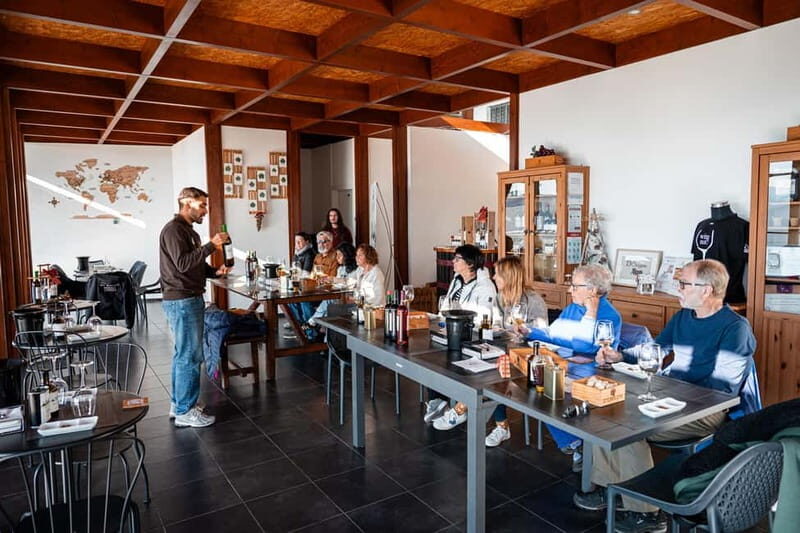 Porto: Douro Wine Tour with Lunch and River Cruise - Who Should Consider This Tour?