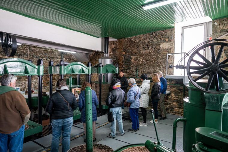 porto-douro-wine-tour-with-lunch-and-river-cruise