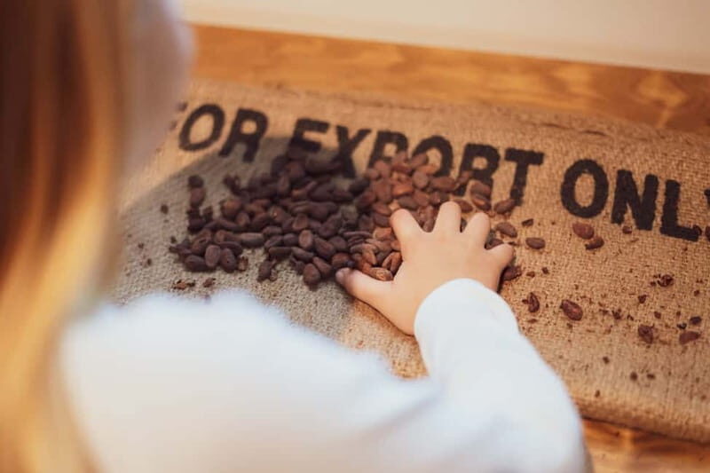 Porto: Entry Ticket at WOW The Chocolate Experience by 20|20 - What to Expect from the Chocolate Experience in Porto