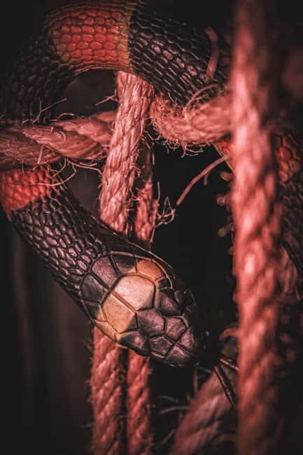 Porto Escape Room: Catacomb Jones - Who Should Consider This Escape Room?