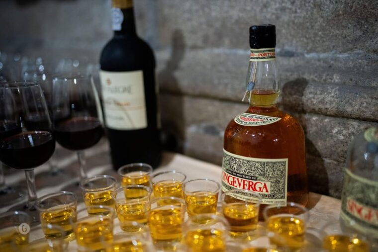 porto-fado-show-with-guided-tour-in-a-historic-monastery