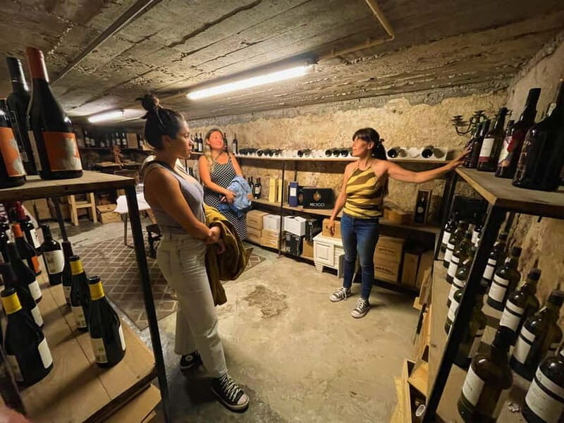 Porto: Food and Wine tasting tour in HIDDEN GEMS - Who Will Love This Tour?
