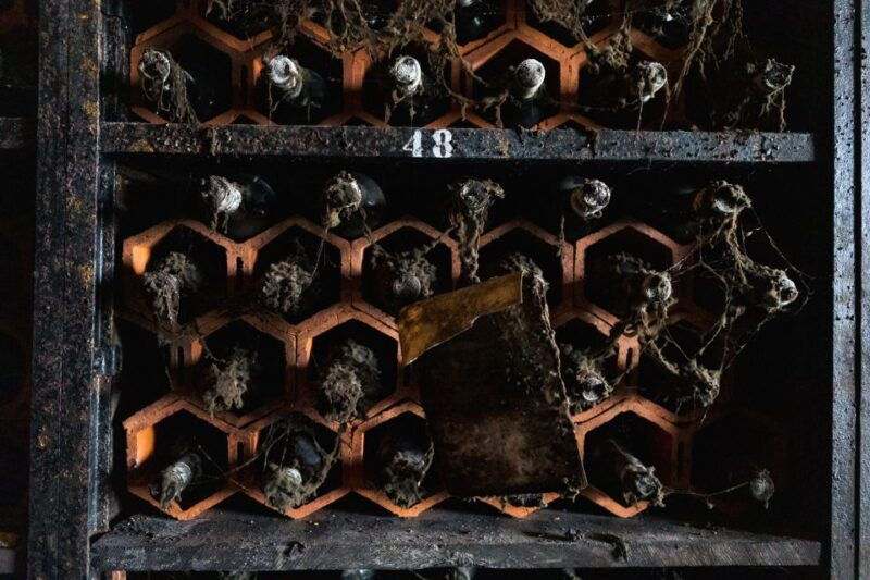 porto-food-wine-tasting-walking-tour-with-port-wine-cave