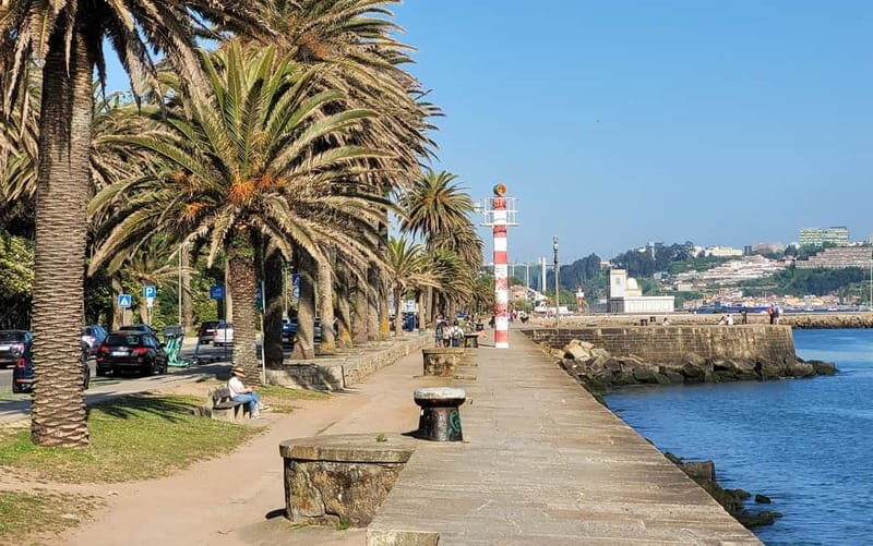 Porto-Gaia-Matosinhos: Private Half-Day Panoramic Tour - Key Points