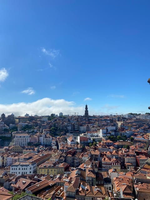 porto-guided-city-walking-tour