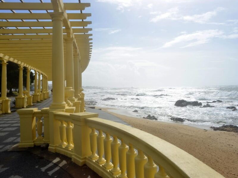 porto-guided-e-bike-tours-in-porto-and-gaia