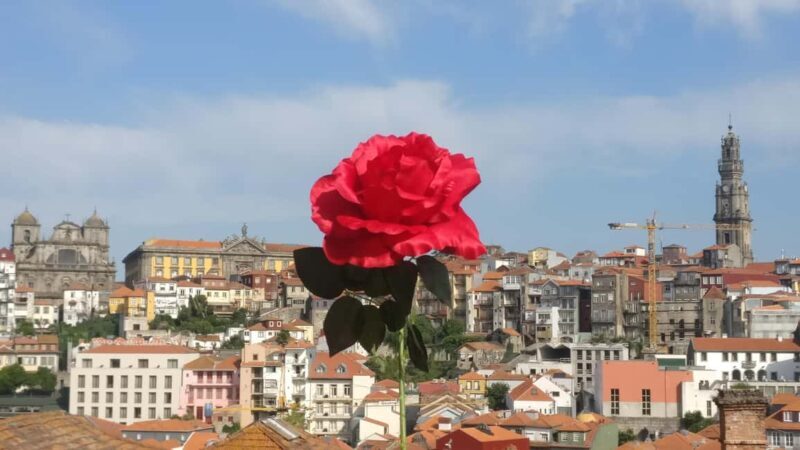 Porto: Guided Walking Tour with Clérigos Church - Practical Details and What to Expect