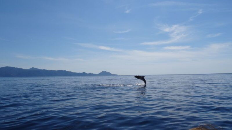 porto-half-day-cruise-scandola-reserve-calanche-de-piana