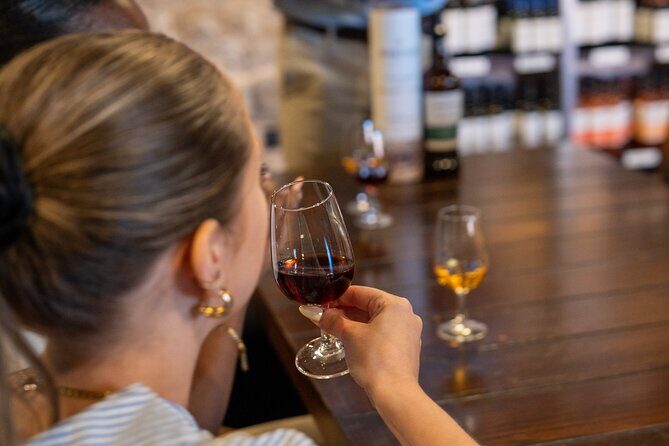 Porto Half-Day Guided Historical Tour with Port Cellar Visit and Tasting - Authentic Experiences and Extras