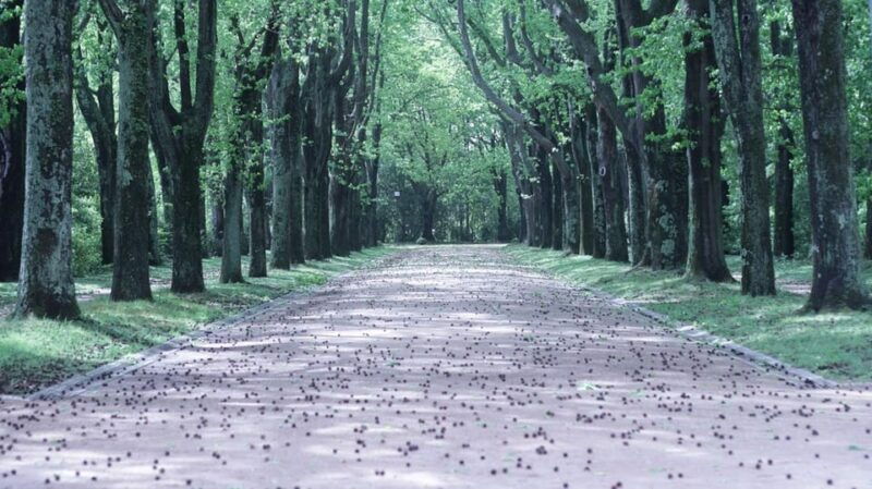 porto-half-day-sightseeing-in-porto-with-a-local