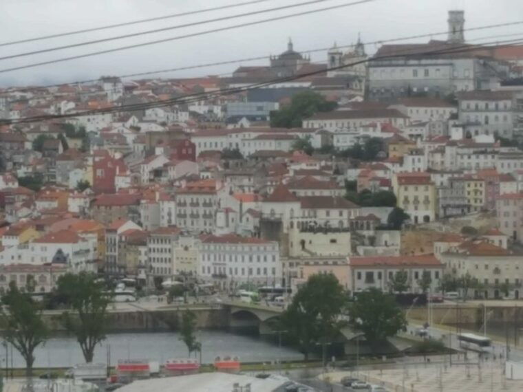 porto-half-day-small-group-city-tour-with-port-wine-tasting