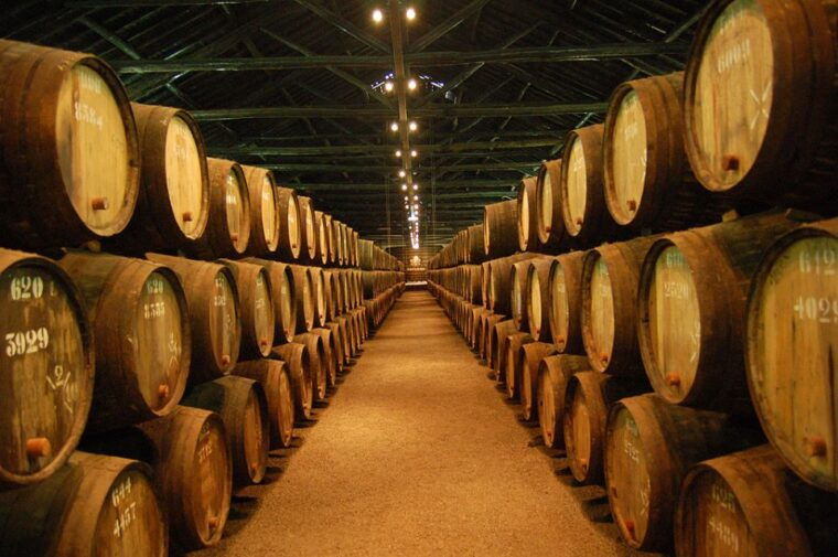 porto-half-day-small-group-city-tour-with-port-wine-tasting