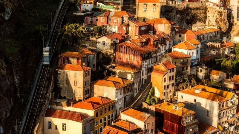 porto-half-day-walking-tour-river-cruise-wine-tasting