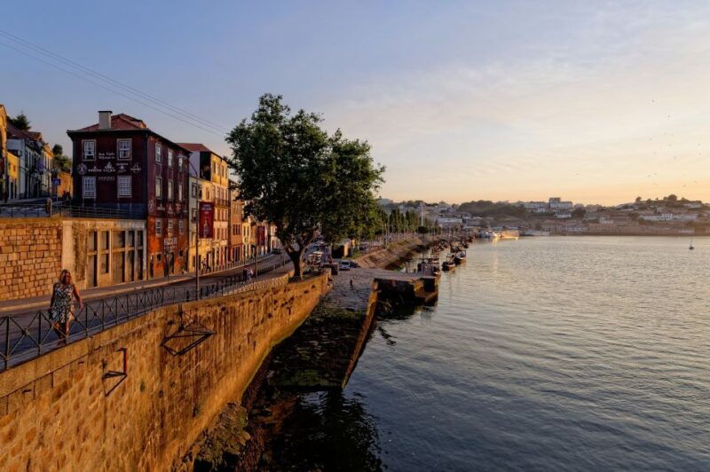 porto-half-day-walking-tour-river-cruise-wine-tasting