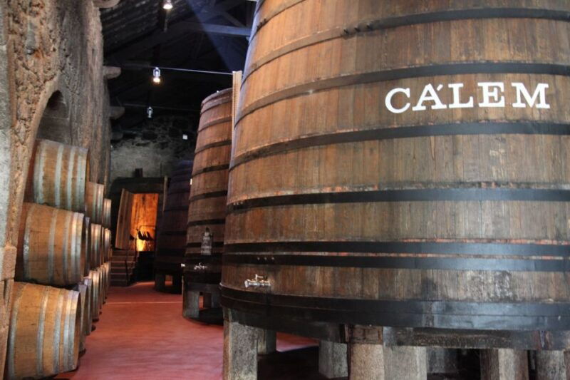 porto-hop-on-hop-off-bus-with-optional-cruise-wine-cellar