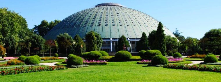 porto-legends-full-day-walk-tuktuk-fun-tour