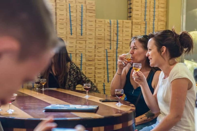 Porto: Magic Train Tour and Port Wine Cellar with Tastings - Key Points