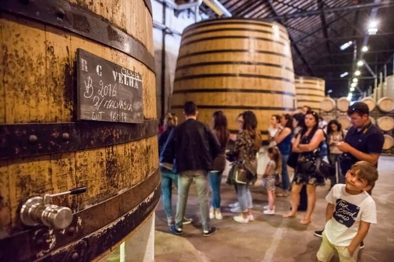 Porto: Magic Train Tour and Port Wine Cellar with Tastings - The Itinerary Breakdown: What You’ll Experience