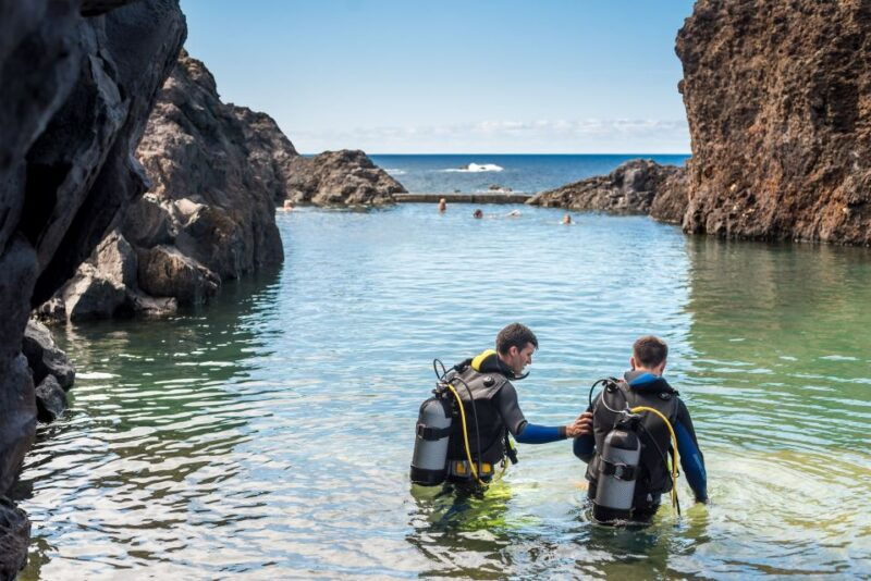 porto-moniz-diving-with-sharks-and-rays-in-madeira-aquarium