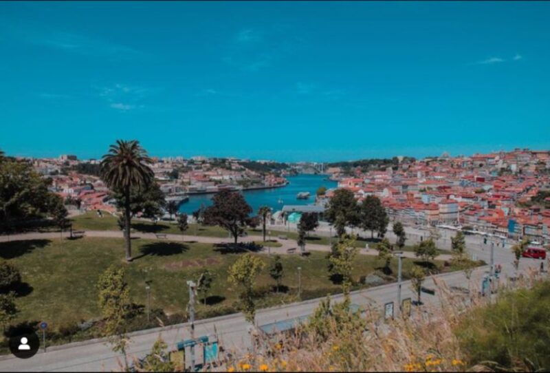 porto-monuments-landmarks-and-cuisine-tour