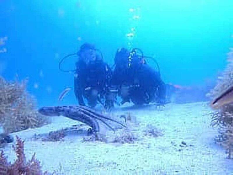 Porto: My first Scuba Dive in the Ocean - Key Points