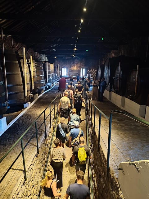 porto-port-and-douro-wine-walking-tour-with-tastings